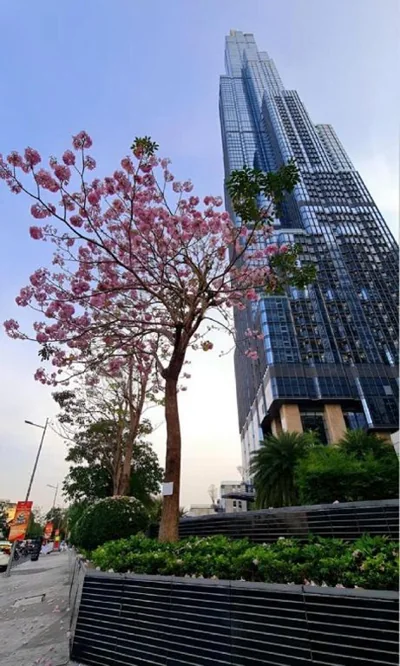 Vinhomes Landmark Luxury Apartment by Navie – Foto 4